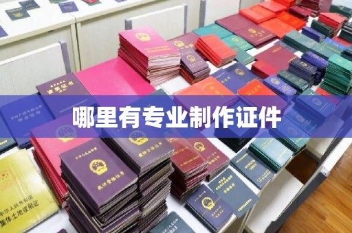 城子河哪里有专业制作证件