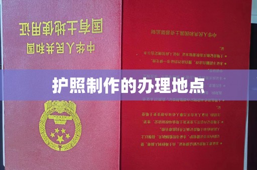 城子河护照制作的办理地点