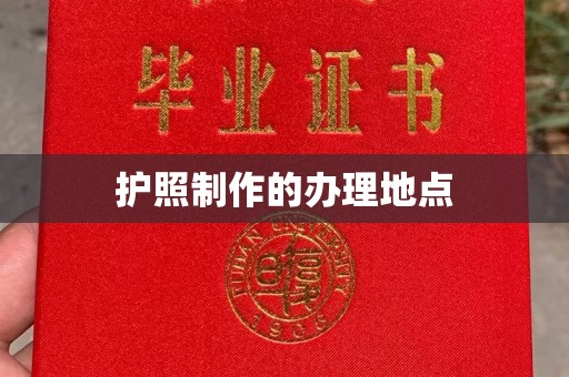 城子河护照制作的办理地点