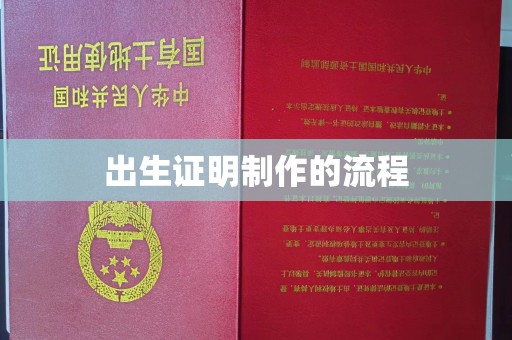 城子河出生证明制作的流程
